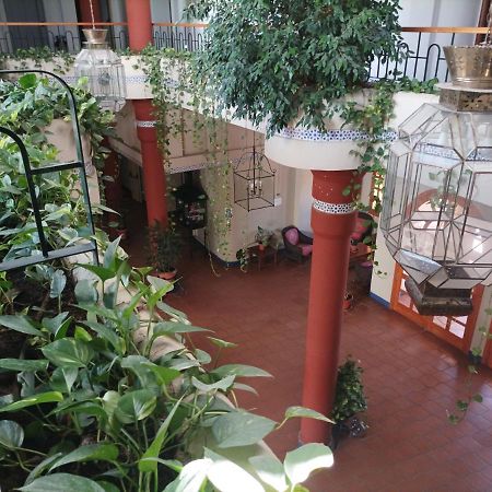 Estudio Reina Y Pastora El Rocio Apartment Bagian luar foto