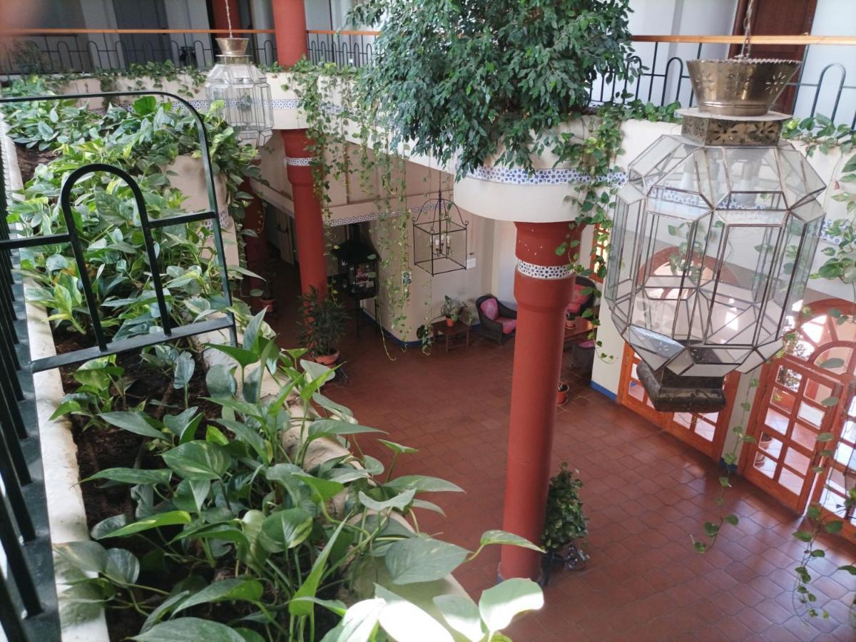 Estudio Reina Y Pastora El Rocio Apartment Bagian luar foto